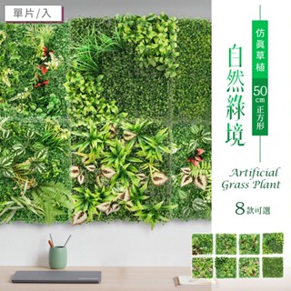 仿真草植-自然綠境(50cm正方形單片/8款可選) dayneeds 植生牆/仿真植物牆/大尺寸/背景牆/形象牆/植草磚