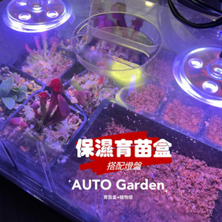 AUTO Garden 現貨! 亞馬遜同步 LED 加厚加高 透明蓋(育苗盤專用) /保溼箱/鹿角蕨/食蟲植物/育苗盆