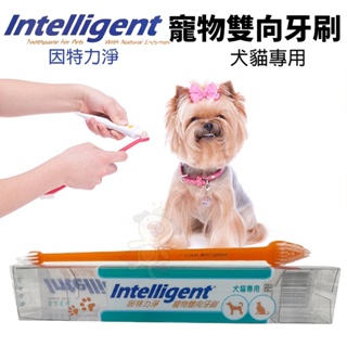 INTELLIGENT 因特力淨 寵物雙向牙刷 大小刷頭 寵物牙刷 犬貓專用『Chiui犬貓』