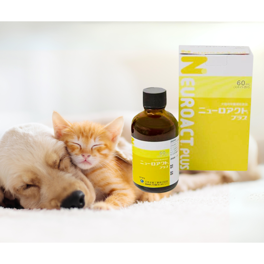 日本全藥 NEUROACT Plus 神經元修護液 關節全效液 升級版 60ML 公司貨 犬貓專用