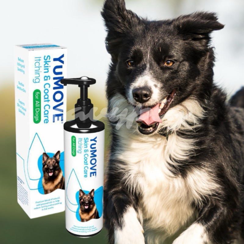 現貨✔️YuMOVE Skin Coat Care Itching YuDERM Itchy Dog 搔癢犬魚油 優美登