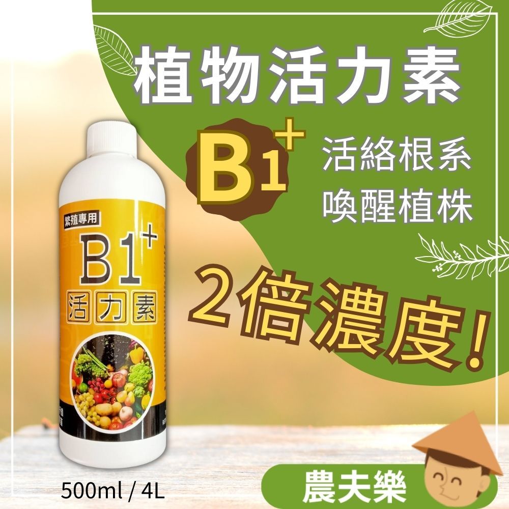 【現貨 發票】b1 植物活力素 開根 500ml 開根劑 開根素 生根 生根水 生根 液 開根液 翠筠 農夫樂