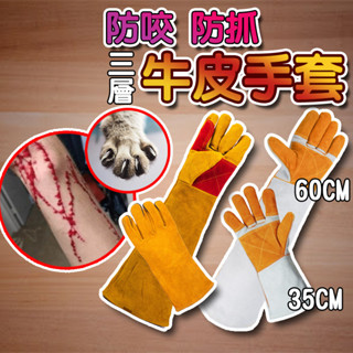 【臺灣現貨】寵物手套 防咬手套 防抓手套 安全手套 防撕咬 防貓抓 牛皮手套 電焊手套 焊接手套 寵物訓練手套