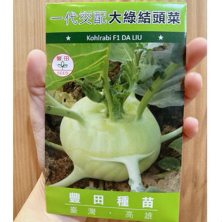 城禾農產 水果大頭菜種子 190粒 水果大頭種子 水果大頭菜種子 水果大頭菜種子 大頭菜種子 大頭種子 結頭菜種子