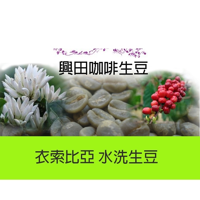 沃卡-奇奇雷 水洗耶加雪菲G1 潔蒂普鎮 衣索比亞  【每包500公克】【興田咖啡生豆】精品咖啡生豆 零售咖啡生豆