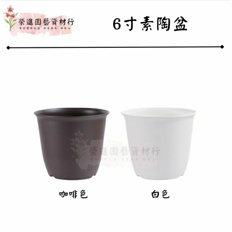 6寸素陶盆 觀葉植物愛用款 材質：塑膠 顏色多款 【榮進園藝資材】