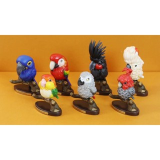 【MOVE】 (現貨) 博物志 群鸚薈萃 第一彈 模擬 鸚鵡 鳥 寵物 動物模型 公仔 盒玩 盲盒 隱藏 手辦