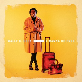 我要自由 瓦利 塞克 Wally Seck I Wanna Be Free BLV8223