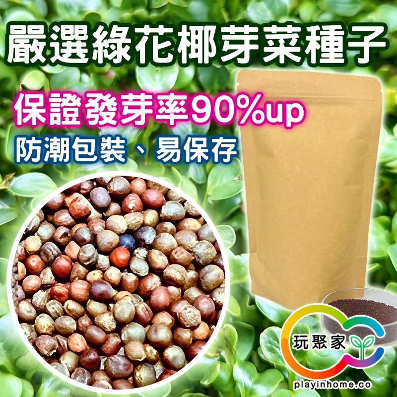 台灣PIH嚴選★ 綠花椰芽菜 保證發芽率90%以上 羽衣甘藍 苜蓿芽 蘿蔔 紫高麗 黑豆 葫蘆巴豆 種子-防潮防濕袋