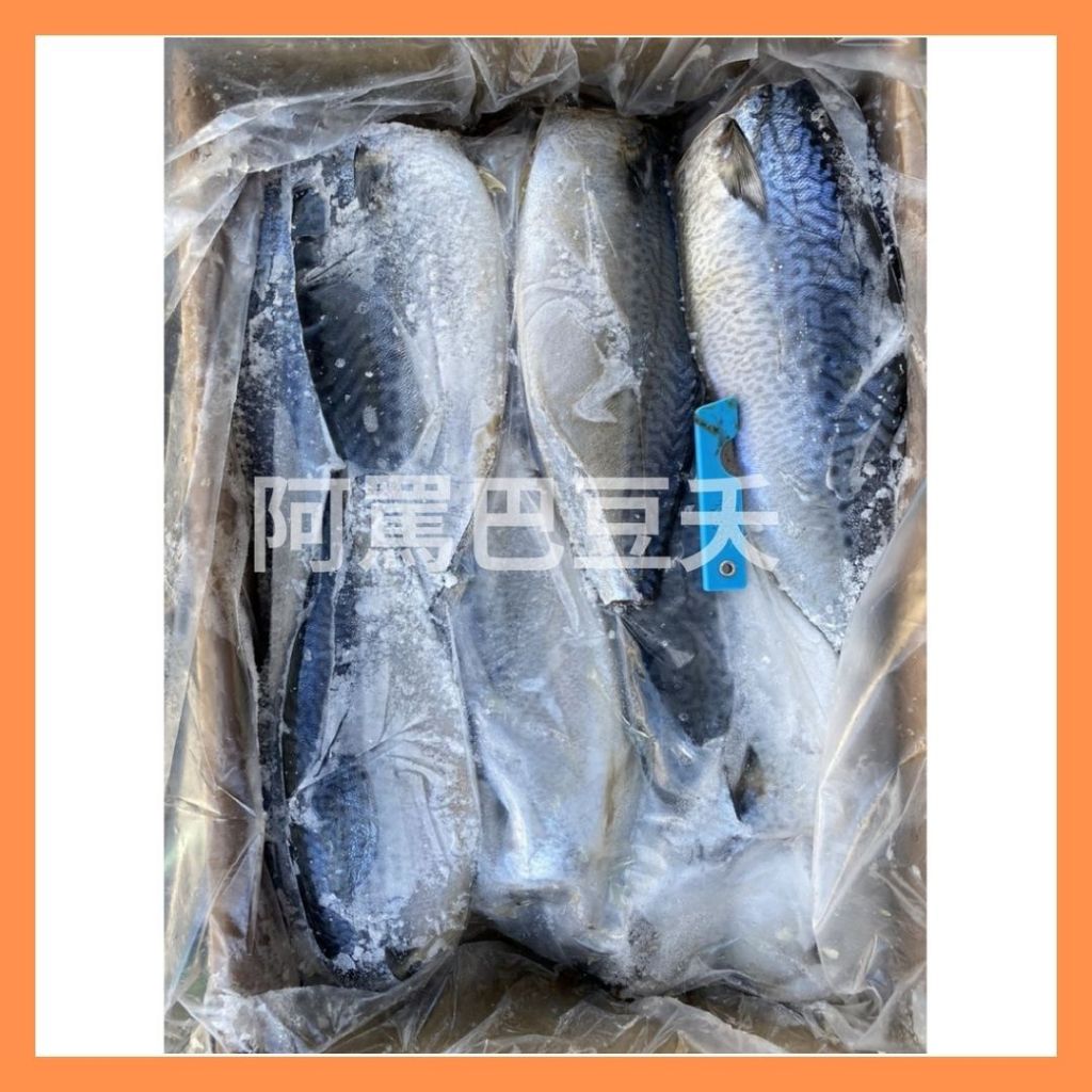 台灣鯖魚片/各規格/薄鹽/約6000g