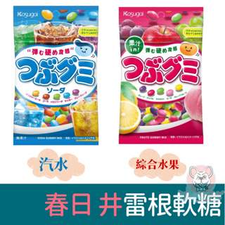 日本 春日井 軟糖 雷根糖 雷根軟糖 60g(汽水風味/綜合水果)