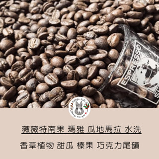 SaMaple Cafe 現烘咖啡豆 | 瓜地馬拉 薇薇特南果 哥倫比亞 那玲瓏 水洗 拿鐵適合| 咖啡豆