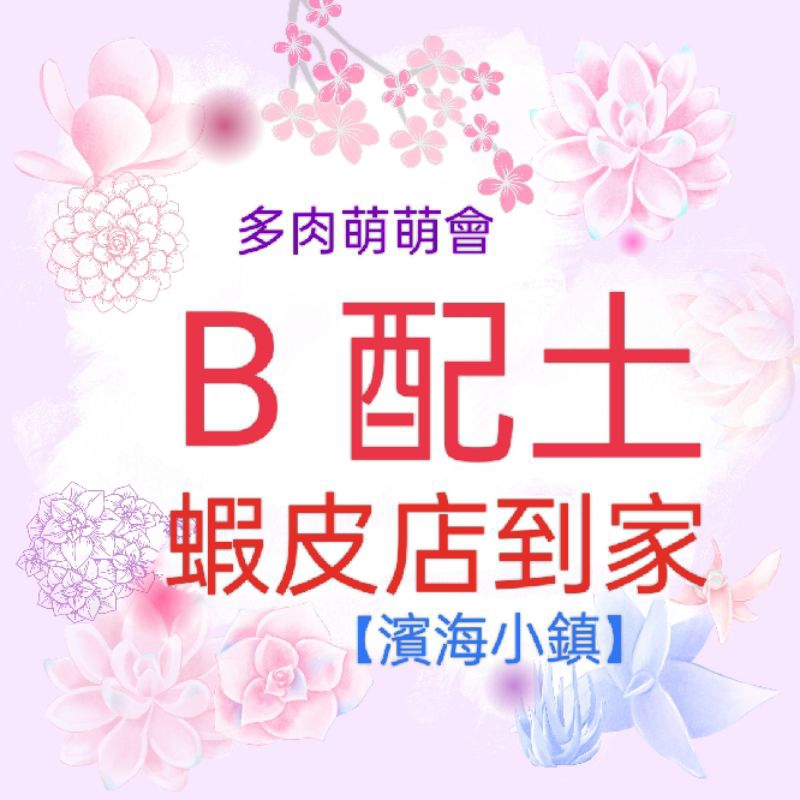 【濱海小鎮】 「多肉萌萌會」B配土 龍舌蘭 蝦皮店到家賣場