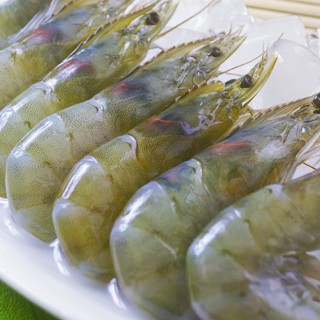 【海之醇】大規格鮮甜白蝦(淨重500g/盒/16-18尾)