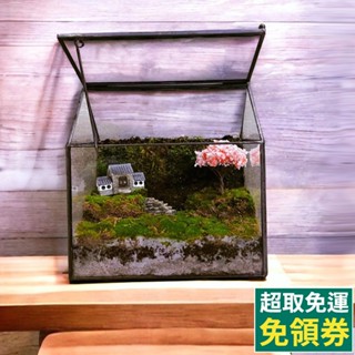 【草葉日和】生態瓶 微景觀 造景缸 掀蓋微景觀玻璃屋 玻璃花瓶 水陸缸 雨林缸造景 苔蘚生態瓶 生態造景缸 迷你生態瓶