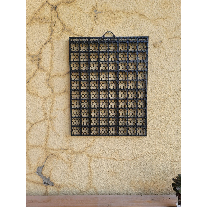 鹿角蕨上板 🔥宅配尺寸🔥板材 植床板 塑膠板 透氣板 植板厚款2cm 蘭花 空鳳 (可混搭)