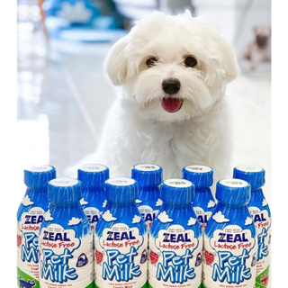 ZEAL 岦歐 寵物牛奶 紐西蘭 犬貓鮮乳 貓用保健鮮乳 保健鮮乳 犬貓 牛奶