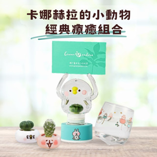 卡娜赫拉小動物經典療癒組合 交換禮物 療癒盆栽 磁鐵盆栽 冰箱貼 不倒翁杯 P助彈簧磁鐵盆栽 名片夾