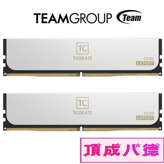 TEAM 十銓 EXPERT/引領者 DDR5 桌上型記憶體 黑 32GB(2x16GB) 6000MHz CL30