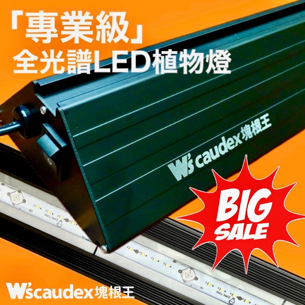 塊根王專業級全光譜LED植物燈-1.5尺