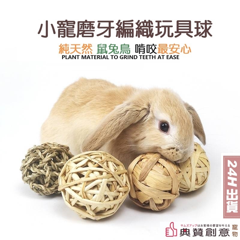 小寵磨牙編織玩具球 鼠兔鳥龍貓天竺鼠松鼠鸚鵡啃咬玩具 磨牙球 蘋果枝球 水草球 布袋蓮球 兔玩具用品 寵物用品 典贊創意
