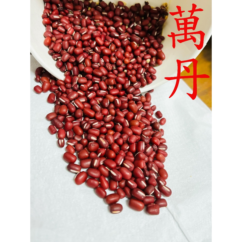 紅豆 來自屏東萬丹 9號 紅豆生南國