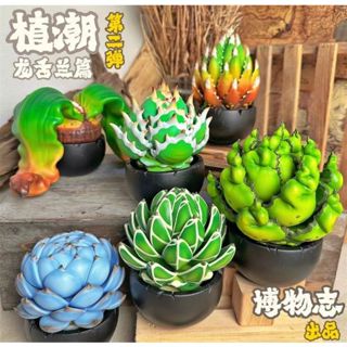 【MOVE】 (現貨) 博物志 植潮 第二彈 龍舌蘭 塊根植物 模擬 模型 潮玩 公仔