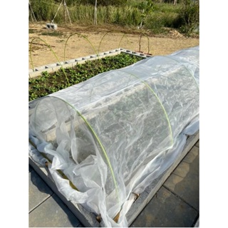 ✯農好康✯ 台灣製造 白色24目防蟲網 溫網室用網 農業防蟲網 種菜防蟲網 蔬果防蟲網
