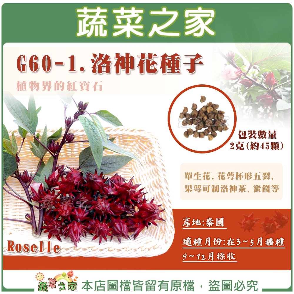 【蔬菜之家滿額免運】G60-1.洛神花種子2克(約45顆) 洛神 洛神花 園藝 種植 花茶 蜜餞 適應性強 改善血壓