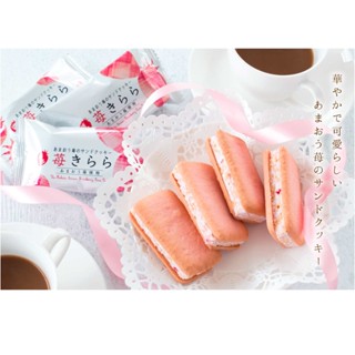 【現貨在台，秒出】 日本福岡博多風美庵 草莓甘王奶油夾心餅乾 巧克力草莓 日本伴手禮🧧 禮盒