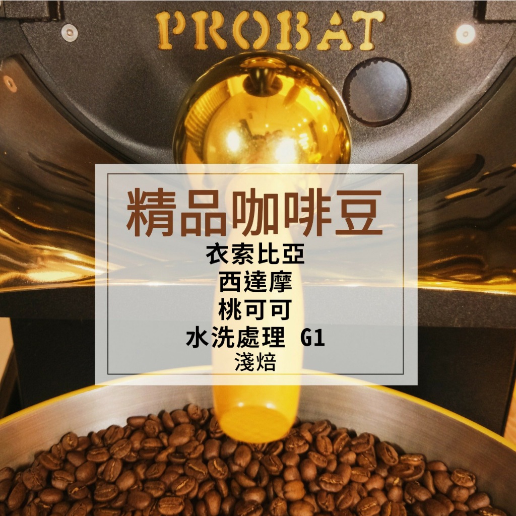 咖啡點滴【🥇衣索比亞 西達摩 桃可可 水洗處理 G1】精品咖啡 手工兩次挑豆  PROBAT烘豆機