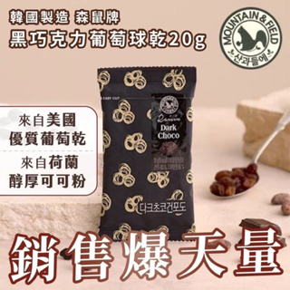 🌸Summer🌸 現貨.刷卡✅韓國製造 森鼠牌 黑巧克力葡萄球乾 黑巧克力球 葡萄球乾20g