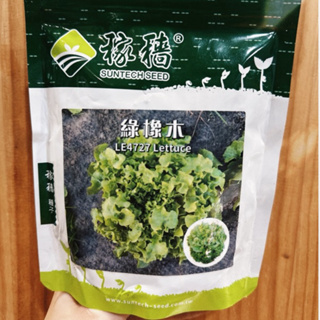 原包裝 1磅 綠橡木萵苣種子 綠橡木種子 橡木葉種子 橡木葉萵苣種子 萵苣種子 生菜種子 綠生菜種子 橡木葉種子