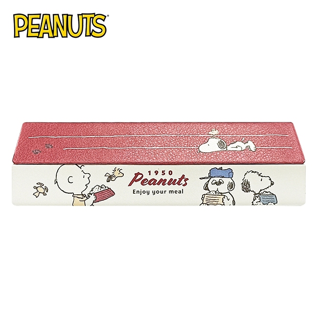 【現貨】史努比 房屋造型 磁吸式眼鏡盒 附拭鏡布 硬殼眼鏡盒 眼鏡盒 眼鏡收納盒 Snoopy PEANUTS 日本正版