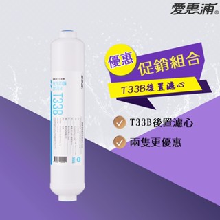 【思維康SWEETCOM】美國原廠愛惠浦 EVERPURE 小 T33B 後置濾心 原廠公司貨