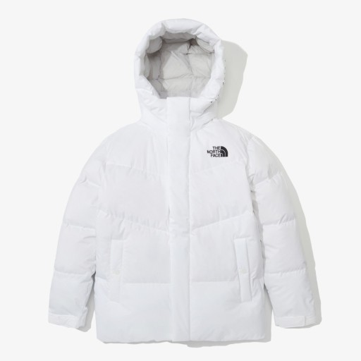 白色100L現貨❗️韓國北臉 男女裝 白標 FREE MOVE DOWN JACKET 連帽短版羽絨外套 防水 防風