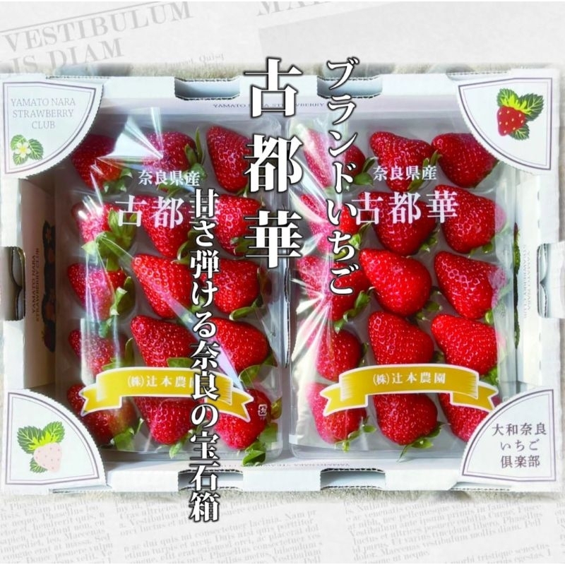 【JDFruit緁迪水果】古都華草莓 日本草莓 草莓禮盒 日本空運直送草莓 情人節禮物 年節禮盒