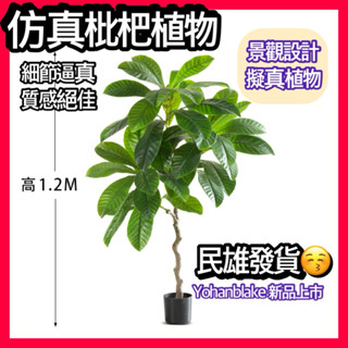 😇模擬枇杷樹😇仿真植物 假植物 客廳盆栽 假樹 仿生綠植物 室內植物 客廳植物 景觀設計 落地裝飾植物
