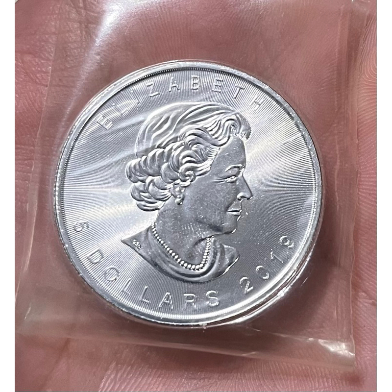 2019 加拿大銀幣 加拿大楓葉銀幣 銀幣 純銀 楓葉銀幣 一盎司