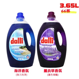 【易生活】dalli 全效能 綠色/藍色/白色/紫色 洗淨 護色 洗衣精 ACTIV 3.65L【超商取貨限重一瓶】