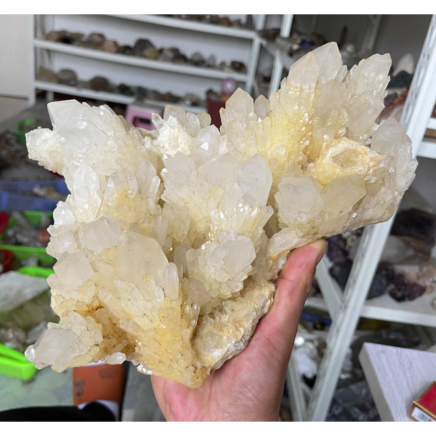 3.95kg天然馬達加斯加白水晶鳳梨骨幹水晶簇原石擺件壘生水晶簇原礦標本