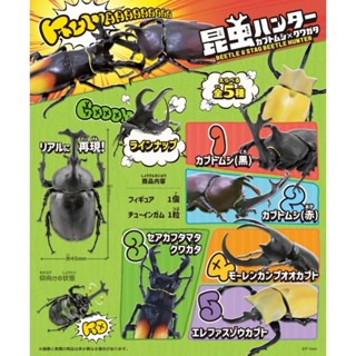 昆蟲獵人 甲蟲獵人 甲蟲王者 F-Toy 盒玩 模型 收藏