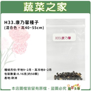 【蔬菜之家滿額免運】H33.康乃馨(混合色，高40~55cm)種子0.16克(約50顆)花卉 花類種子