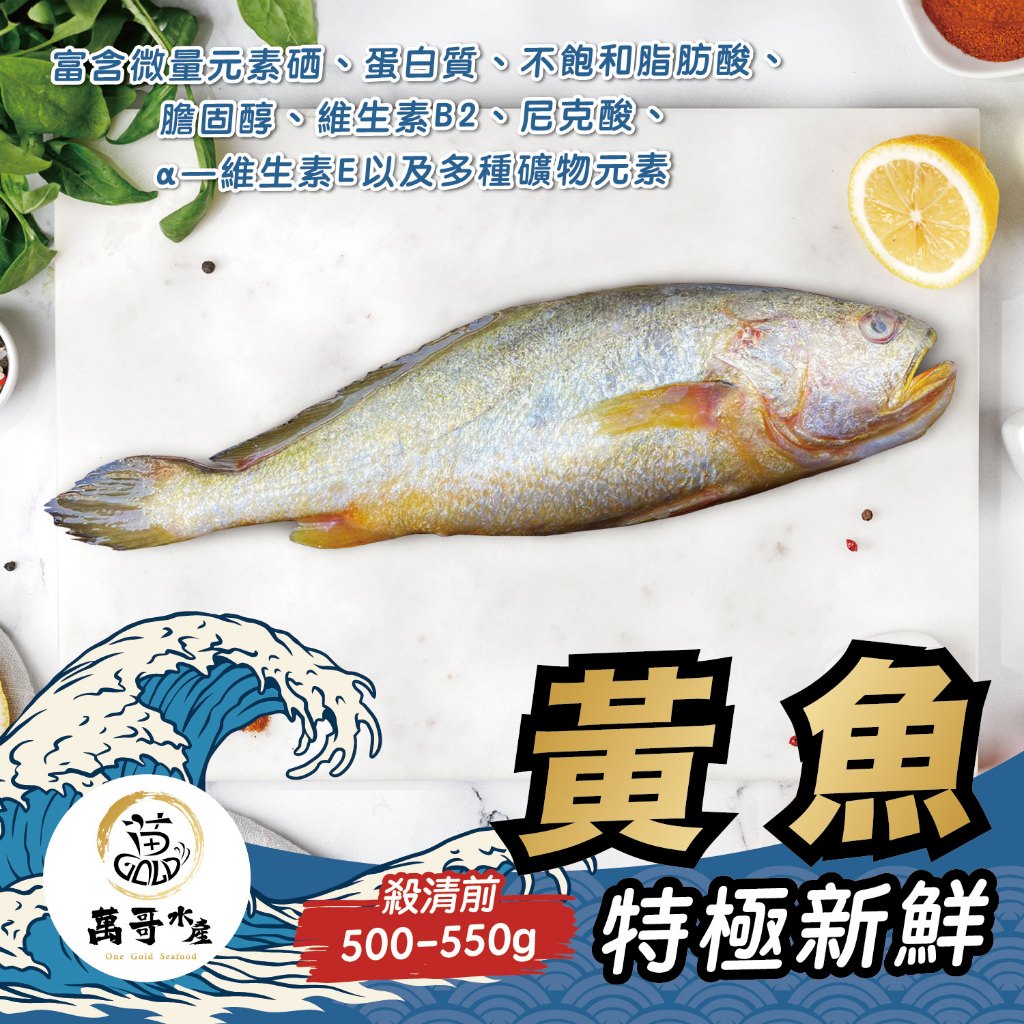 【萬哥水產】特級新鮮黃魚 殺清前500-550g 冷凍宅配【金興發】