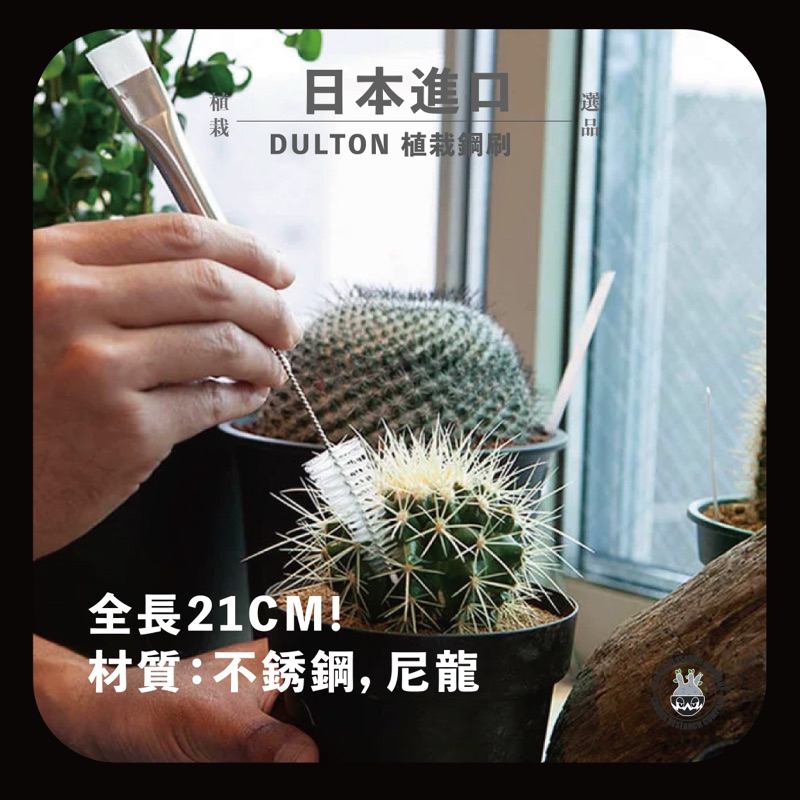 日本植栽品牌DULTON 不鏽鋼尼龍刷 數量稀少 塊根 龍舌蘭 植栽工具 植物工具 象牙宮 日製植栽工具 日製塊根工具