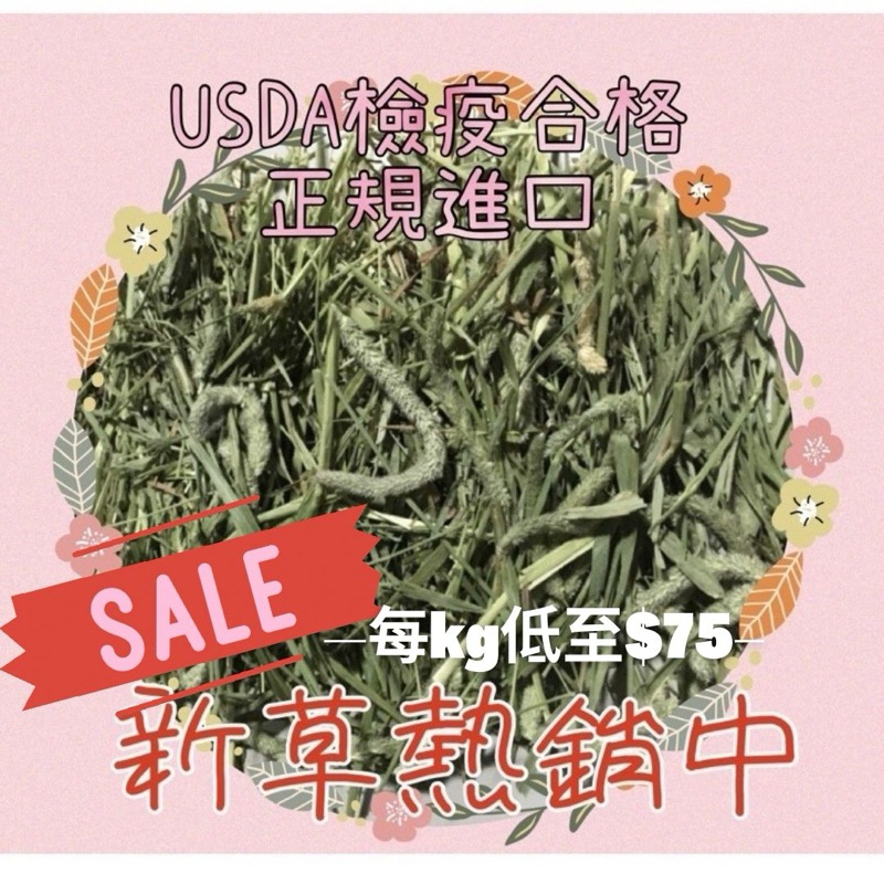 §兔尾巴§(1/24到貨)提摩西牧草 / 一割 600g過篩 &amp; 2kg未過篩 兔子 天竺鼠 主食 牧草 牧