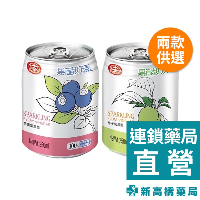 十全 果醋好氣 莓果 250ml【新高橋藥局】美味零食 醋飲料 氣泡飲