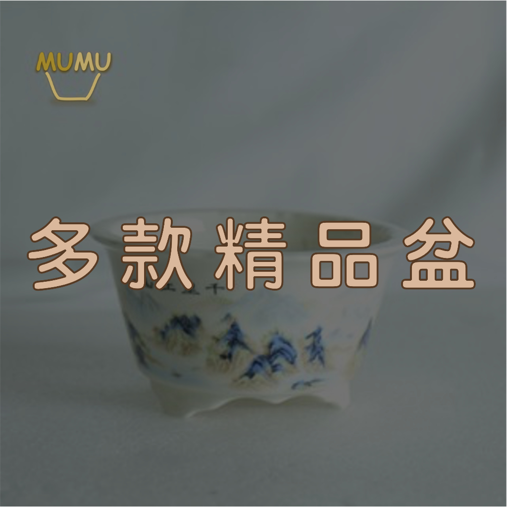 𝗠𝘂𝗠𝘂🪴花盆(多款精品白瓷GC078)🪴白瓷 五彩 山水 掌上 桌上盆栽 珍珠柏 青檜 李世櫻桃 姬紫薇 香楓 杜鵑