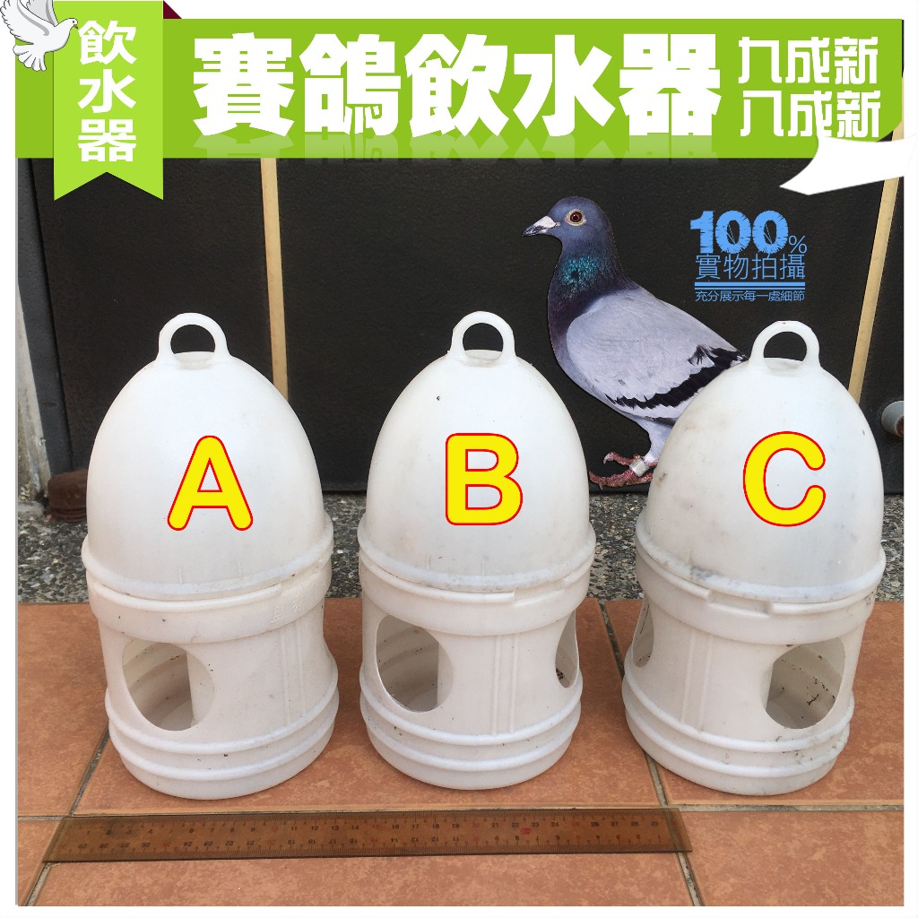 【出清】鴿子飲水壺 賽鴿水壺 餵水器 喝水器 寵物給水器 鳥水壺 1L 八成新 九成新
