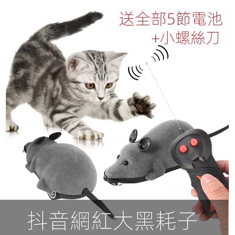 貓玩具 老鼠仿真 無線遙控逗貓神器 自嗨 貓咪發聲玩具 毛絨 電動老鼠